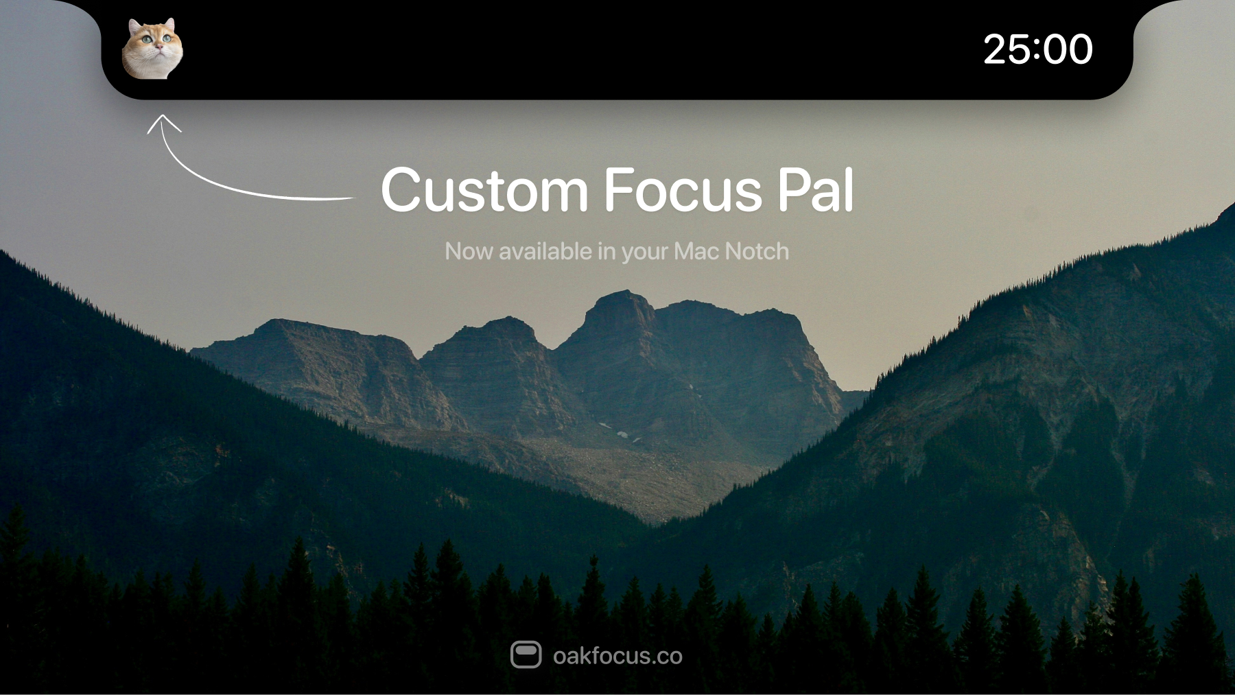 Adding a custom focus pal